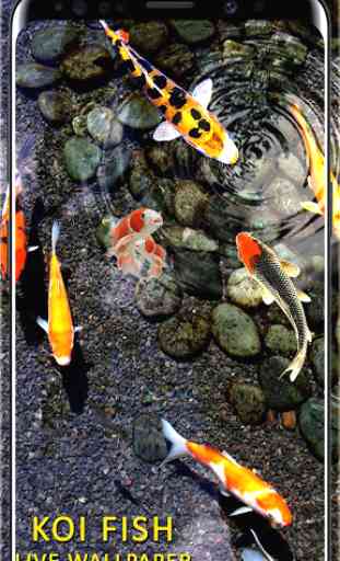 3D Koi Fish Wallpaper HD Fish Live Wallpapers Free 2