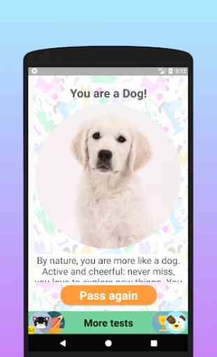 Are you a dog or a cat? Test 4