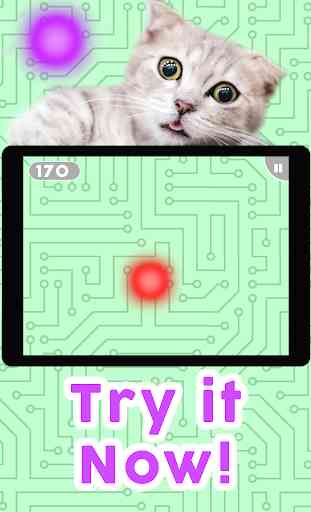 Games for Cats! - Cat Fishing Mouse Chase Cat Game 4