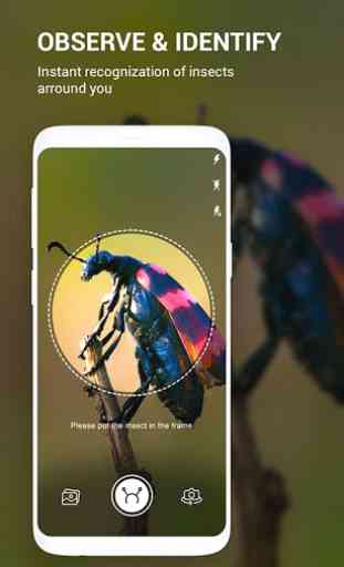 Insect identifier App by Photo, Camera 2020 1