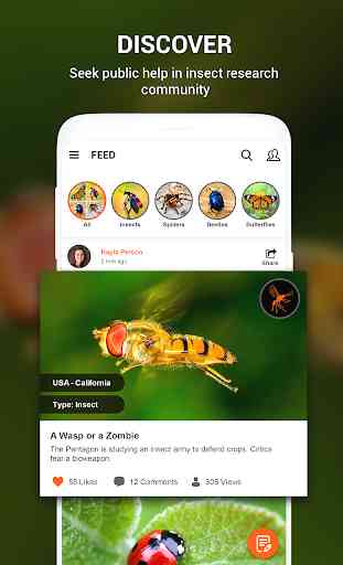 Insect identifier App by Photo, Camera 2020 2