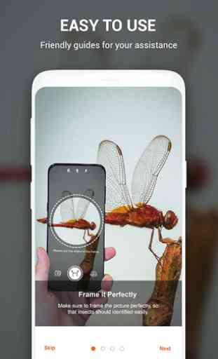 Insect identifier App by Photo, Camera 2020 4