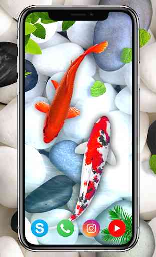 KOI Fish Live Wallpaper : New fish Wallpaper 2020 1