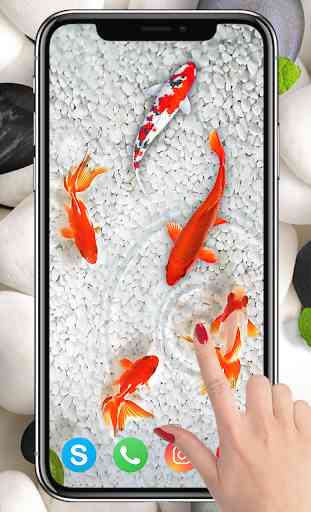 KOI Fish Live Wallpaper : New fish Wallpaper 2020 2