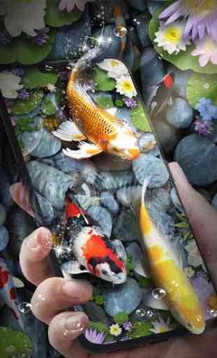 Koi Fish Pond Live Wallpaper 3