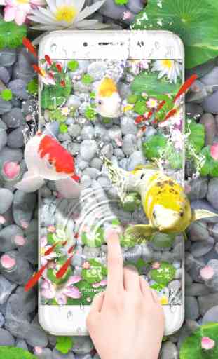Lively Koi Fish 3D Theme 4