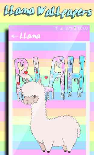 Llama Wallpaper: Alpaca, Kawaii, Cute Wallpapers 4