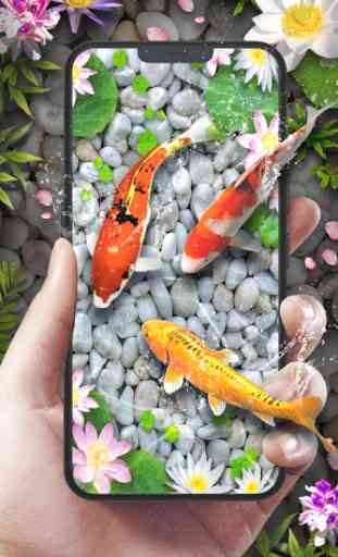 Lucky Koi Fish Live Wallpaper 1