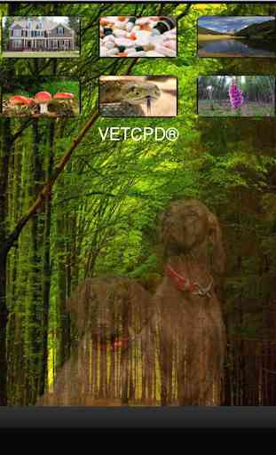 Pet Poison App VETCPD 1