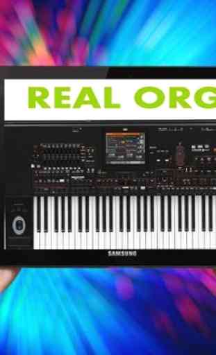 real organ playing 1
