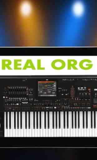 real organ playing 3