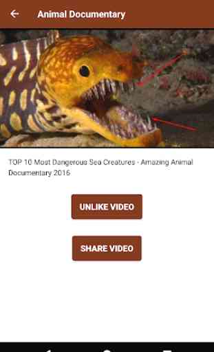 Animal documentary online  2