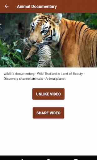 Animal documentary online  3