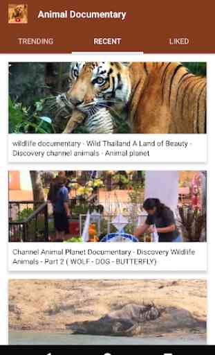 Animal documentary online  4
