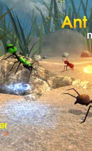 Ant World Multiplayer 2