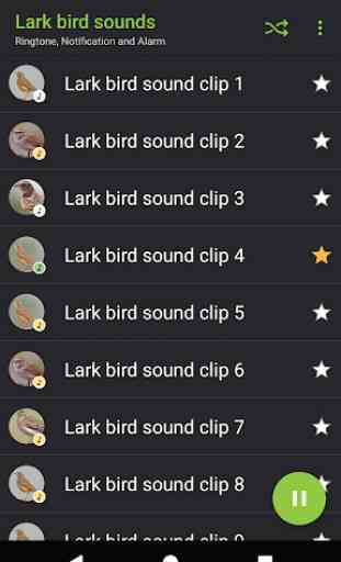 Appp.io - Lark bird sounds 2