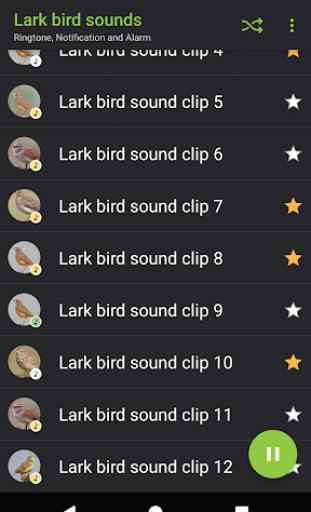 Appp.io - Lark bird sounds 3