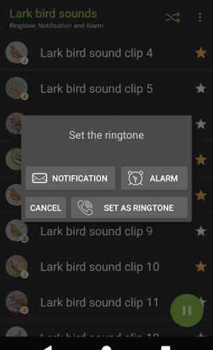 Appp.io - Lark bird sounds 4