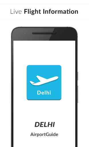 Delhi Airport Guide - Flight information DEL 1