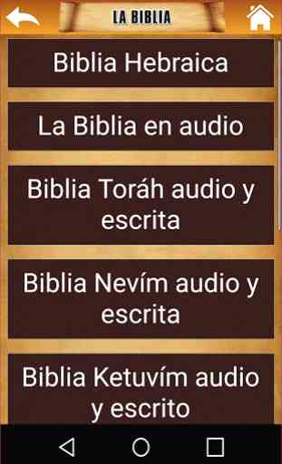 Diccionario Hebreo Bíblico 4
