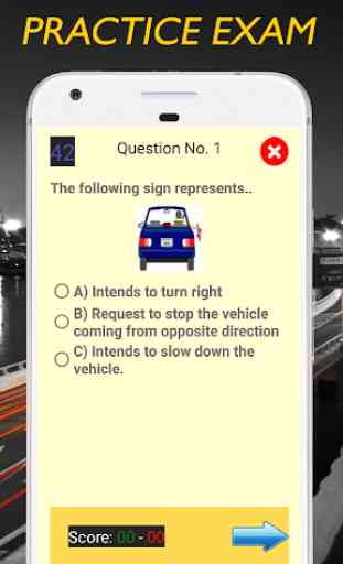Driving License Exam - India 2