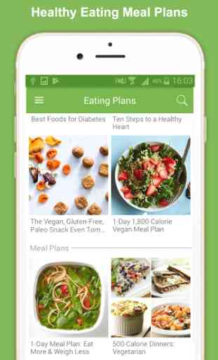 Healthy Eating Meal Plans 1