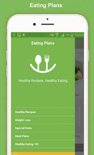 Healthy Eating Meal Plans 4