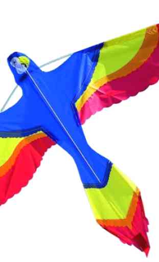 Kites Designs 2