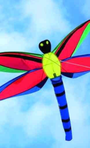 Kites Designs 3