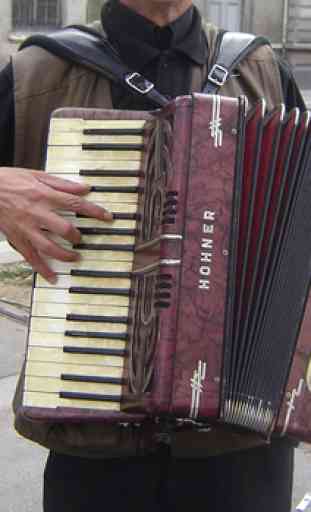 Learn how to play the accordion 2
