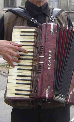 Learn to play the accordion 2
