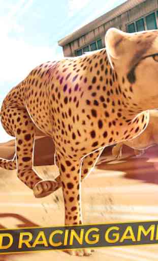 Leopard vs Lions Clan! - Wild Savannah Racing 1
