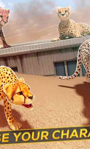 Leopard vs Lions Clan! - Wild Savannah Racing 3