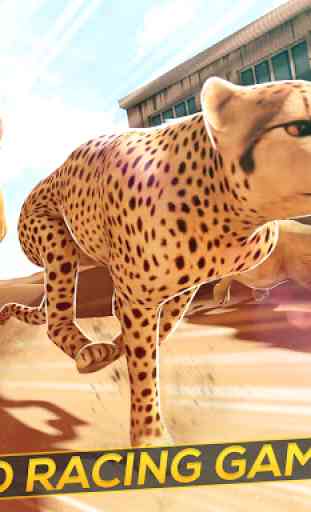 Leopard vs Lions Clan! - Wild Savannah Racing 4