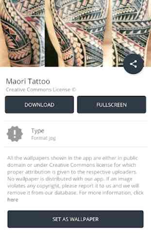 Maori Tattoo Designs 3