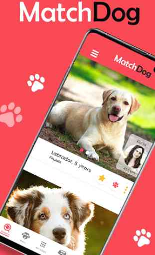 MatchDog - Community for dogs 1