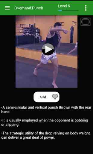 Muay Thai Training - Offline Videos 4