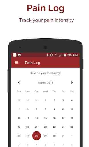 Pain Log - Pain Tracker 1