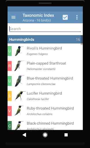 Sibley Guide to Hummingbirds 2
