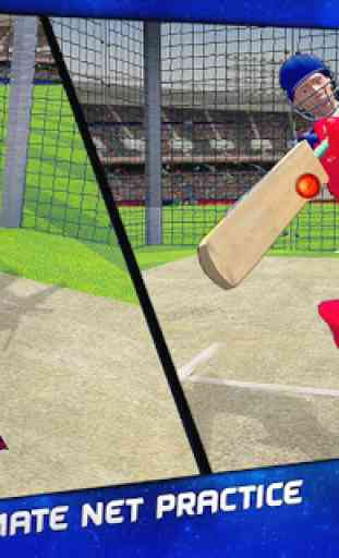 T20 Cricket Training : Net Practice Cricket Game 1