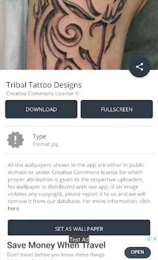 Tribal Tattoo Designs 3
