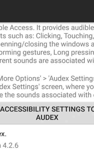 Audex: Accessibility Redefined 1