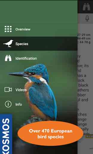 Birds of Europe: Identification, habitat, calls 1