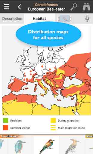 Birds of Europe: Identification, habitat, calls 2