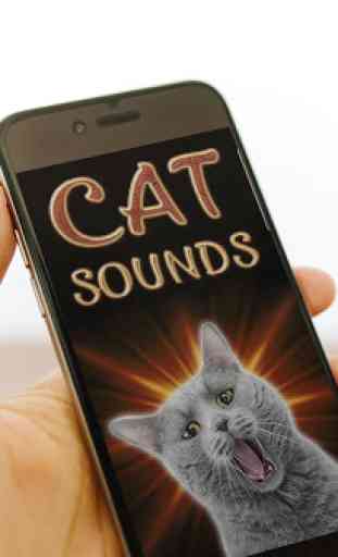 Cat Sounds 1