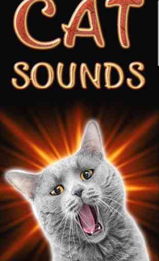 Cat Sounds 2