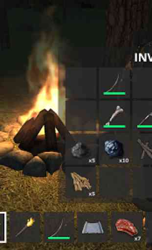 Forest Survival 2