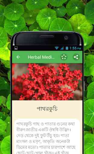 Herbal Medicine Bangla 3