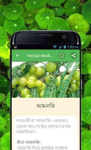 Herbal Medicine Bangla 4