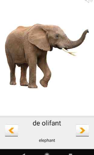 Learn Dutch words (Nederlands) with Smart-Teacher 3